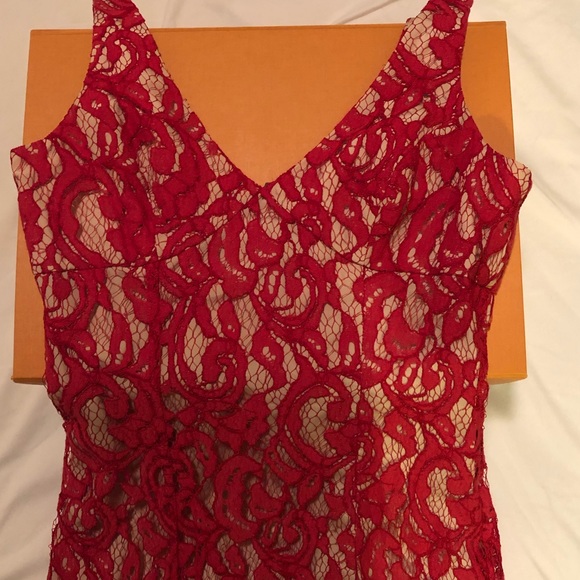 BCBG Lace V-neck Gown - Picture 6 of 6